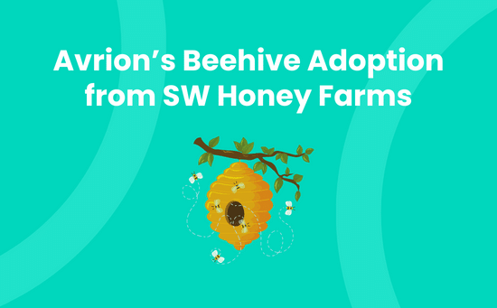 Avrion's Beehive Adoption from SW Honey Farms as part of its Corporate Social Responsibility