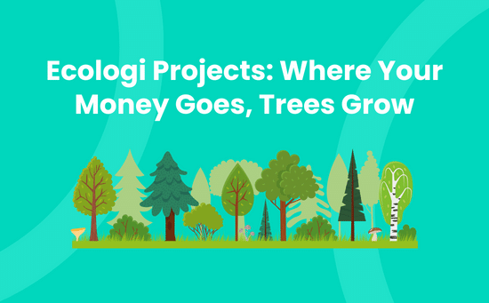 Ecologi Projects_ Where Your Money Goes, Trees Grow
